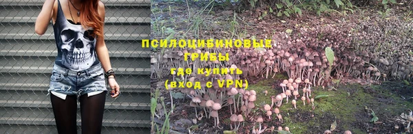 дживик Баксан