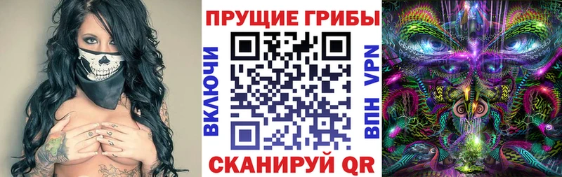 OMG   дарк нет состав  Псилоцибиновые грибы Psilocybine cubensis  Ессентуки 