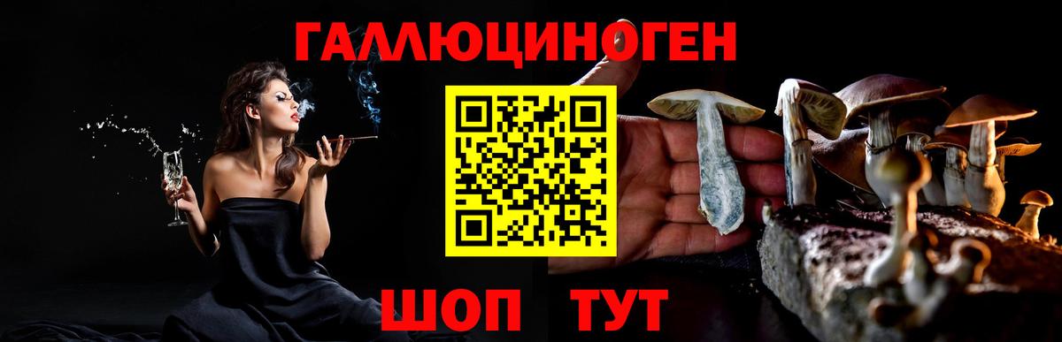 Галлюциногенные грибы GOLDEN TEACHER Ессентуки